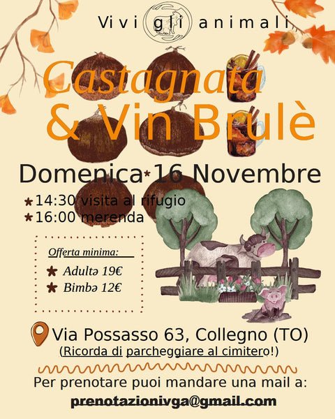 CASTAGNATA E VIN BRULE'