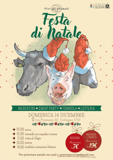 FESTA DI NATALE