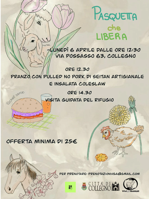 Pasquetta che libera 💚🐑
