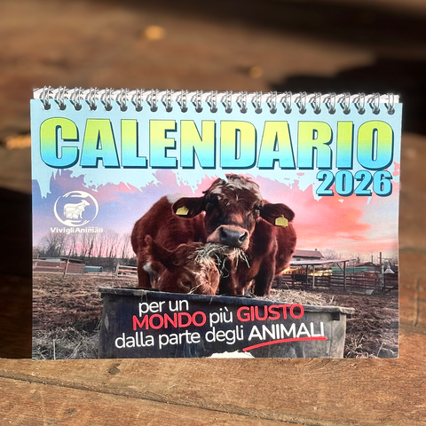 Calendario 2026