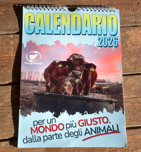 Calendario 2026