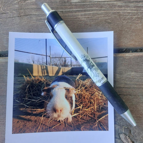 Penne Collezione Animali