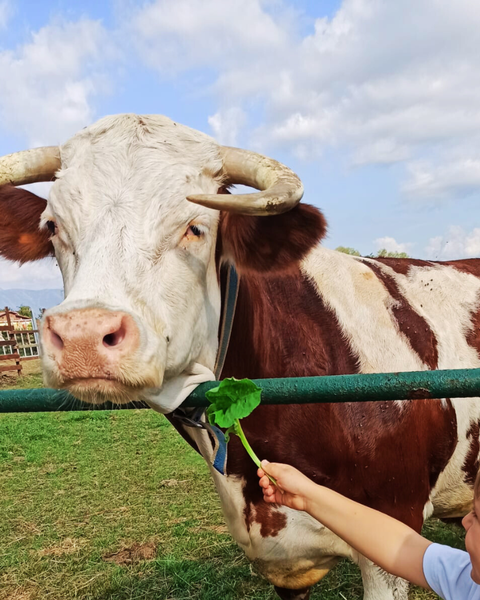 Il nostro progetto Scuola