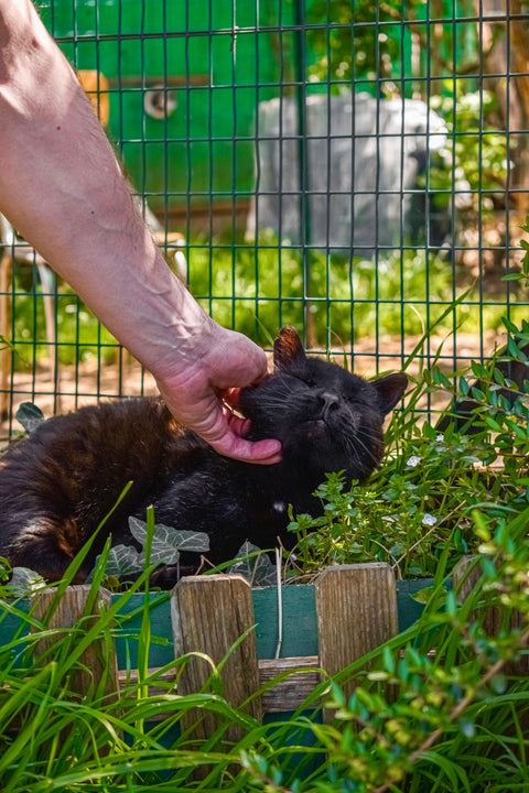 Foto Pasquetta Libera 2026
