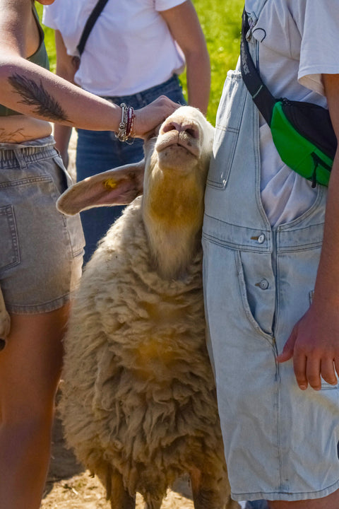 Foto Pasquetta Libera 2026