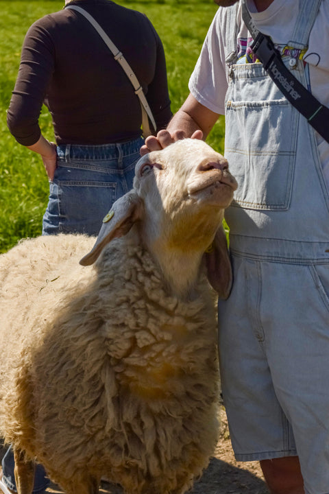 Foto Pasquetta Libera 2026