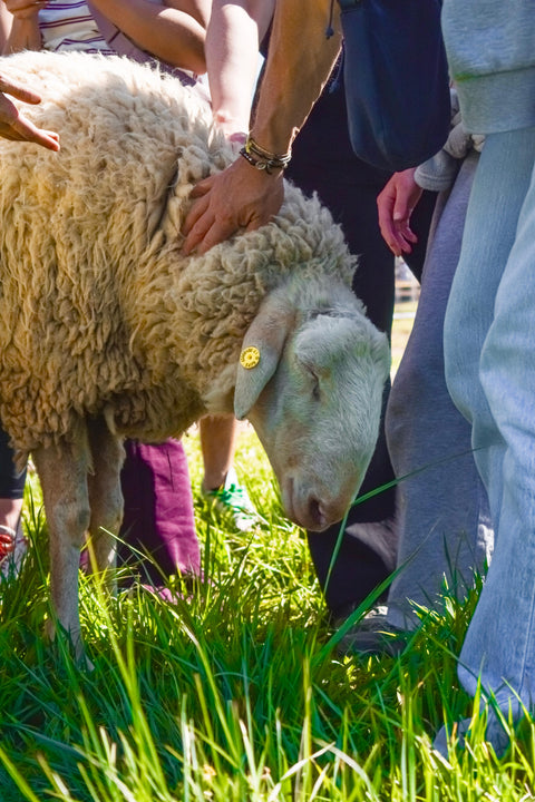 Foto Pasquetta Libera 2026