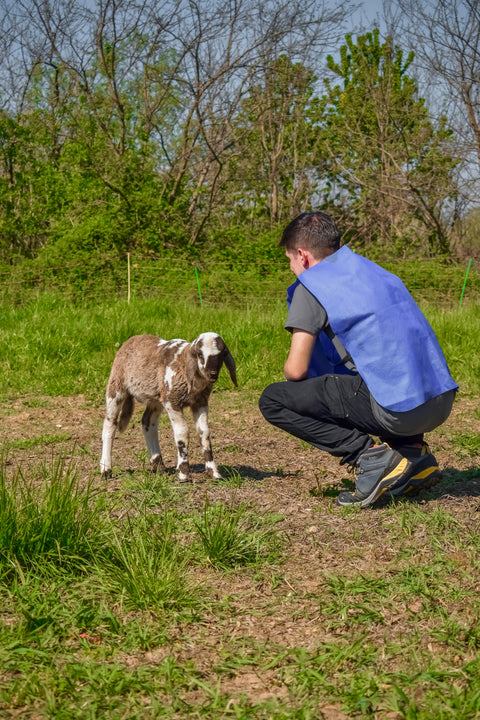 Foto Pasquetta Libera 2026