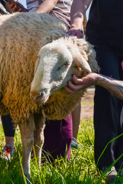 Foto Pasquetta Libera 2026